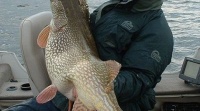 Рыбалка на Оби