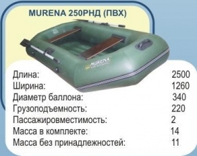 Лодка Мурена 250 РНД 