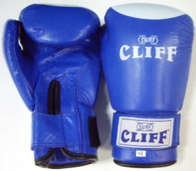 Перчатки боксерские Сliff Pro Star