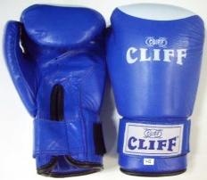 Перчатки боксерские Сliff Pro Star